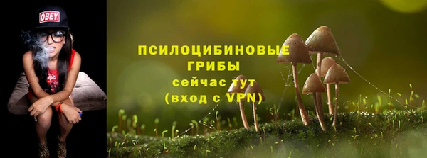 MDMA Богданович