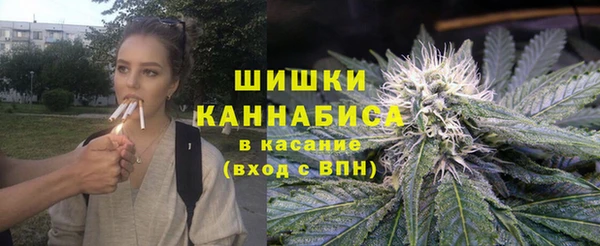 стаф Арсеньев